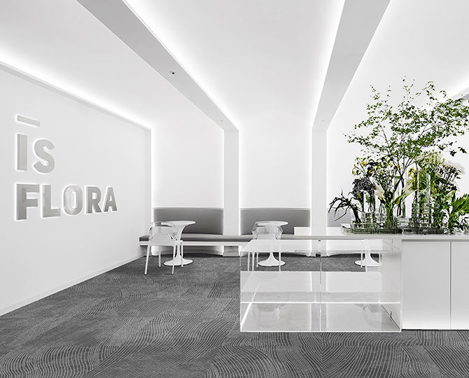 MIERA Andrea Light Grey Loop Modern Office Carpite Tildes.